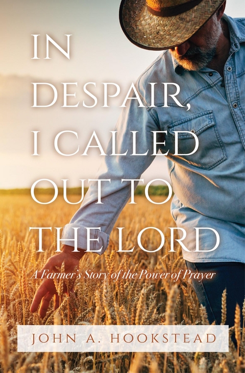 In Despair, I Called Out to the Lord -  John A. Hookstead