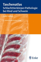 Taschenatlas Schlachttierkörper-Pathologie bei Rind und Schwein - Vallant, André