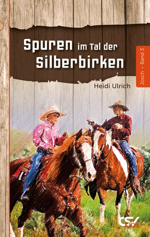 Spuren im Tal der Silberbirken - Heidi Ulrich