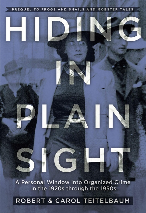 Hiding in Plain Sight -  Carol A Teitelbaum,  Robert J Teitelbaum