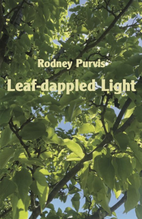 Leaf-dappled Light -  Rodney Purvis