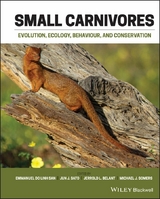 Small Carnivores - 