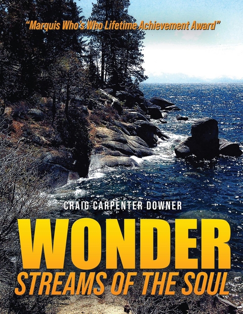 Wonder Streams of the Soul -  Craig Carpenter Downer