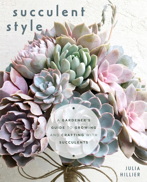 Succulent Style -  Julia Hillier