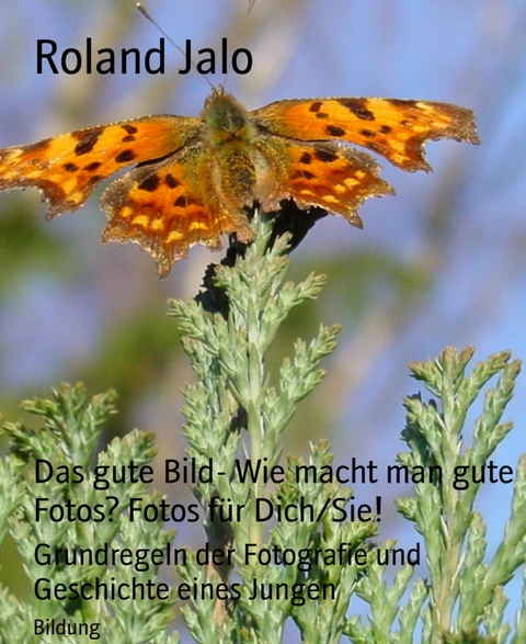 Das gute Bild- Wie macht man gute Fotos? Fotos für Dich/Sie! - Roland Jalo