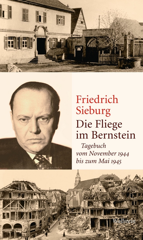 Die Fliege im Bernstein - Friedrich Sieburg