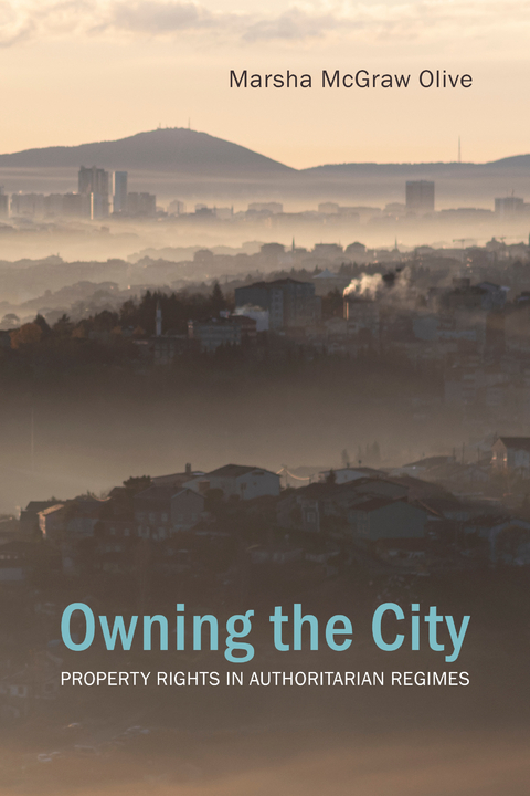 Owning the City - Marsha McGraw Olive