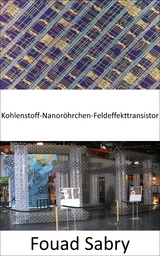 Kohlenstoff-Nanoröhrchen-Feldeffekttransistor - Fouad Sabry