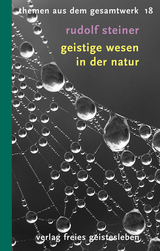 Geistige Wesen in der Natur - Steiner, Rudolf; Klünker, Wolf-Ulrich