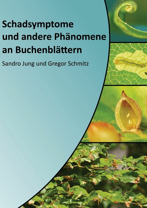 Schadsymptome und andere Phänomene an Buchenblättern - Sandro Jung, Gregor Schmitz