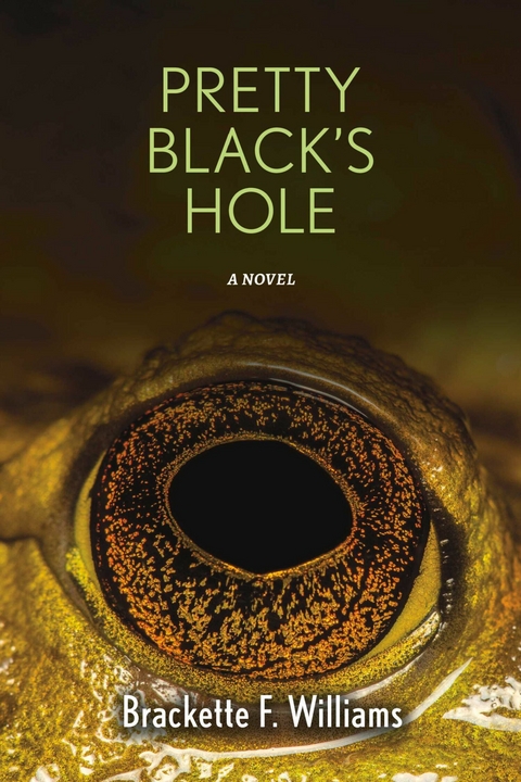 Pretty Black's Hole -  Brackette F. Williams