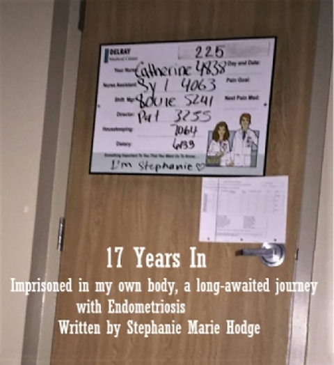 17 Years In -  Stephanie Marie Hodge
