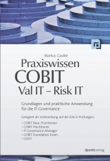 Praxiswissen COBIT - Val IT - Risk IT - Markus Gaulke