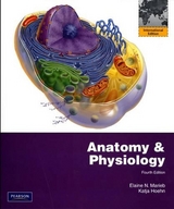 Anatomy & Physiology with Interactive Physiology 10-System Suite - Marieb, Elaine N.; Hoehn, Katja