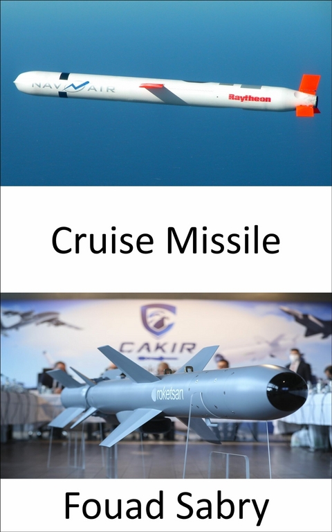 Cruise Missile -  Fouad Sabry