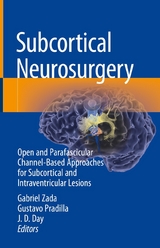 Subcortical Neurosurgery - 