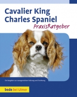 Cavalier King Charles Spaniel - Juliette Cunliffe