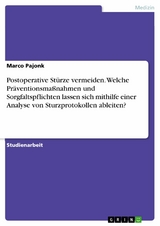 Postoperative Stürze vermeiden. Welche Präventionsmaßnahmen und Sorgfaltspflichten lassen sich mithilfe einer Analyse von Sturzprotokollen ableiten? - Marco Pajonk