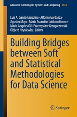 Building Bridges between Soft and Statistical Methodologies for Data Science - 