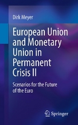 European Union and Monetary Union in Permanent Crisis II - Dirk Meyer