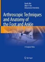 Arthroscopic Techniques and Anatomy of the Foot and Ankle - Baofu Wei, Alan Y. Yan, Annunziato Amendola