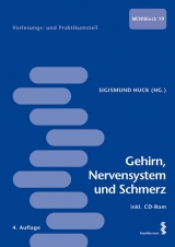 Gehirn, Nervensystem und Schmerz - Huck, Sigismund