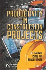 Productivity in Construction Projects - 