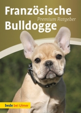 Französische Bulldogge - Schmitt, Annette