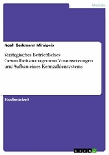 Strategisches Betriebliches Gesundheitsmanagement. Voraussetzungen und Aufbau eines Kennzahlensystems - Noah Gerkmann Miralpeix