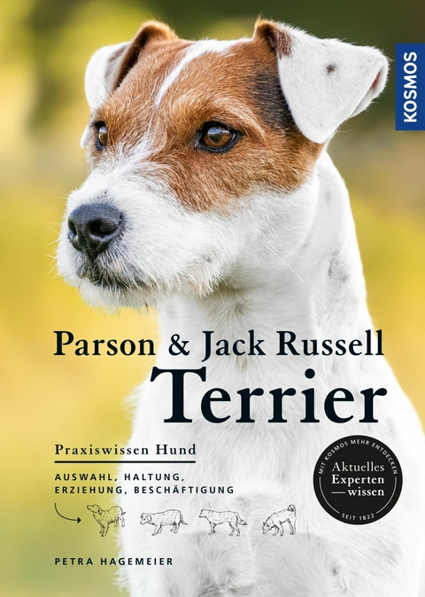 Parson und Jack Russell Terrier - Petra Hagemeier