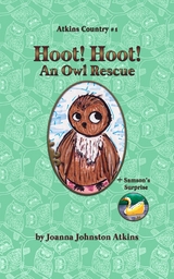 Hoot! Hoot! An Owl Rescue - Joanna Johnston Atkins