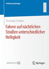 Fahren auf nächtlichen Straßen unterschiedlicher Helligkeit - Christoph Schulze