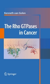 Rho GTPases in Cancer - 