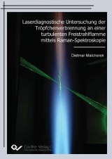 Laserdiagnostische Untersuchung der Tröpfchenverbrennung an einer turbulenten Freistrahlflamme mittels Raman-Spektroskopie - Dietmar Malcherek