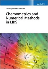 Chemometrics and Numerical Methods in LIBS - 