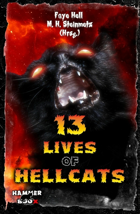 13 Lives of Hellcats - Andreas Gruber, Faye Hell, Markus Kastenholz, M.H. Steinmetz