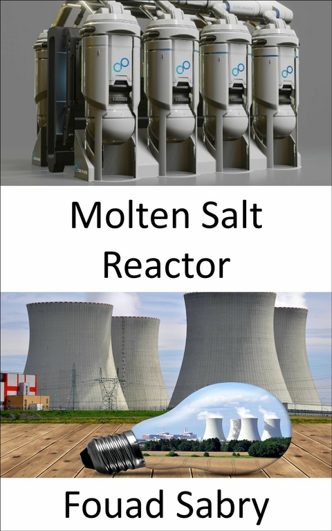 Molten Salt Reactor -  Fouad Sabry