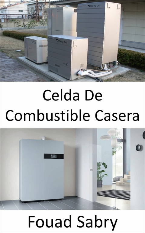 Celda De Combustible Casera -  Fouad Sabry