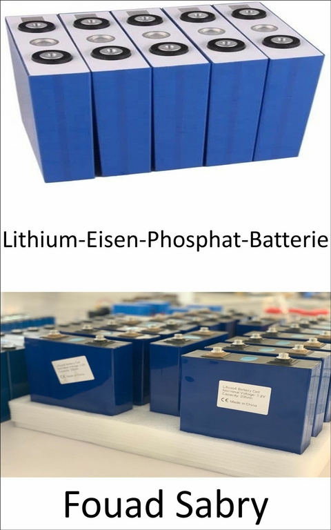 Lithium-Eisen-Phosphat-Batterie -  Fouad Sabry