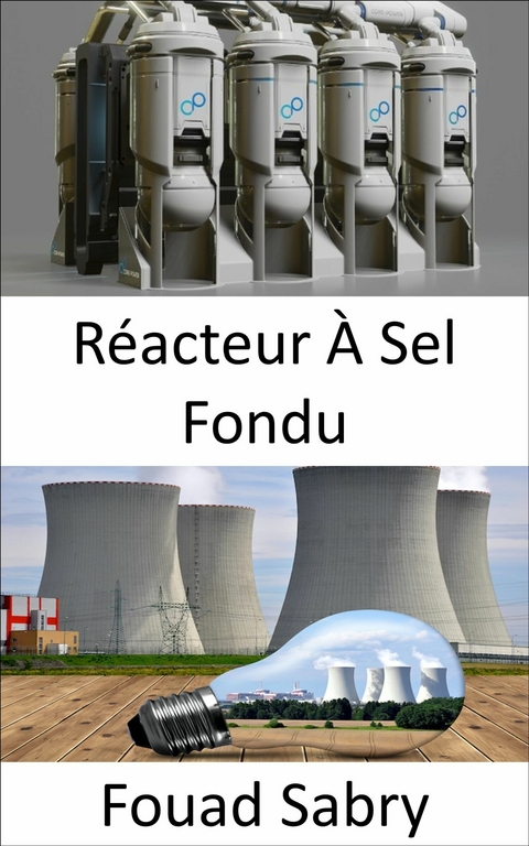 Réacteur À Sel Fondu -  Fouad Sabry