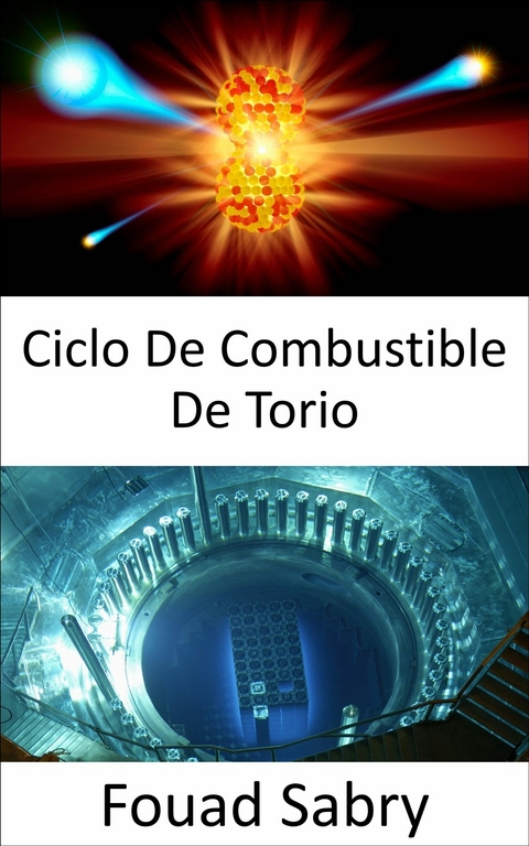 Ciclo De Combustible De Torio -  Fouad Sabry