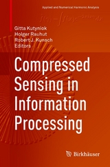 Compressed Sensing in Information Processing - 