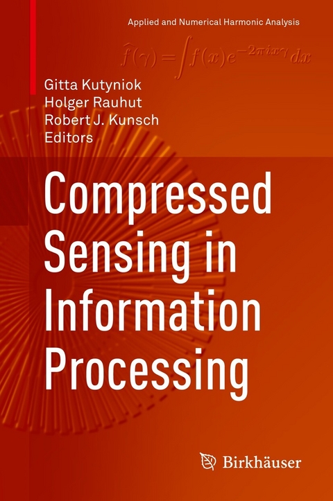 Compressed Sensing in Information Processing - 