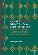 White-Collar Crime and the Public Sector -  Christy D. Smith