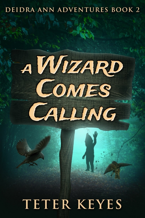 A Wizard Comes Calling -  Teter Keyes