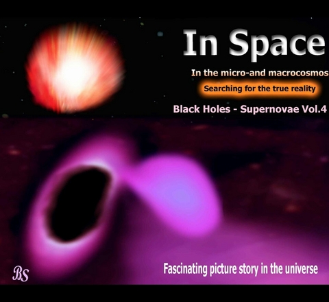 Black holes - Supernovae - Barbara Stein