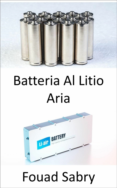 Batteria Al Litio Aria -  Fouad Sabry