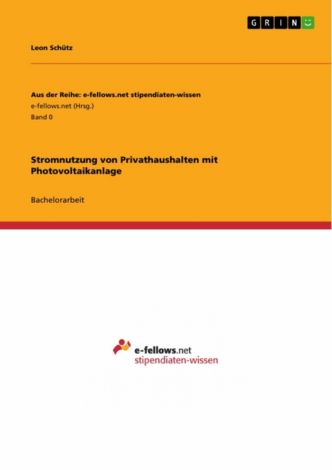 Stromnutzung von Privathaushalten mit Photovoltaikanlage - Leon Schütz