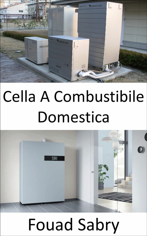 Cella A Combustibile Domestica -  Fouad Sabry