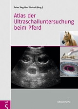Atlas der Ultraschalluntersuchung beim Pferd - 